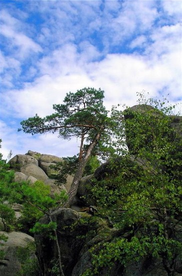 Image - The Dovbush rock near Yaremche.